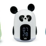 Image du produit précédent